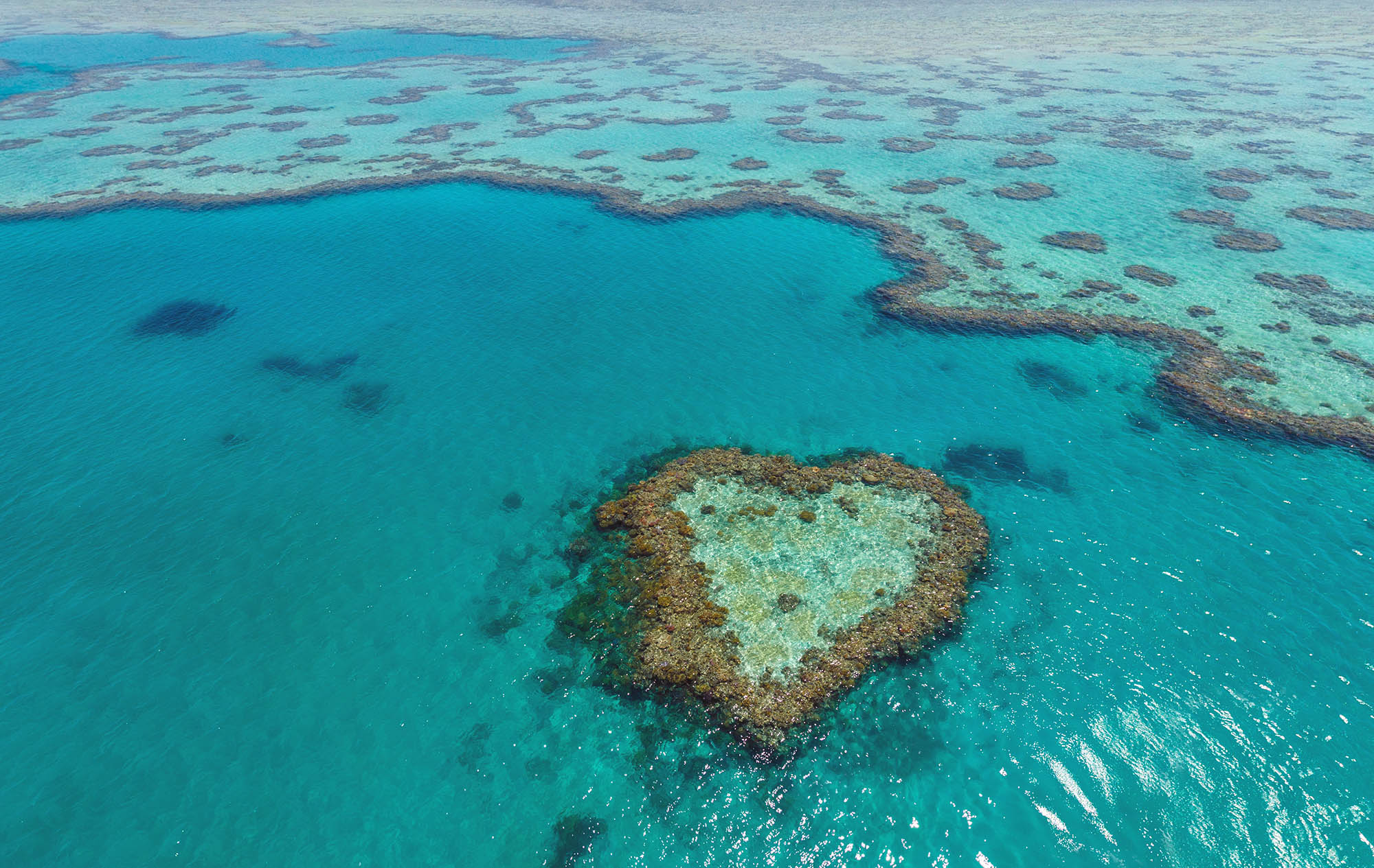 Tropical island aerial view with clear blue water